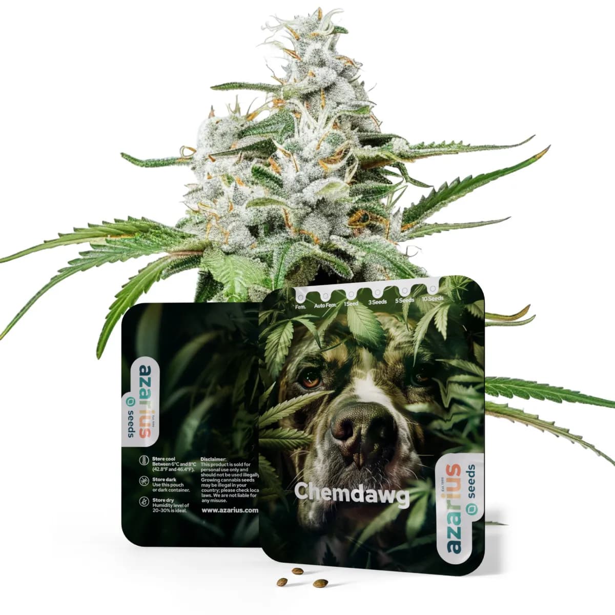 Chemdawg