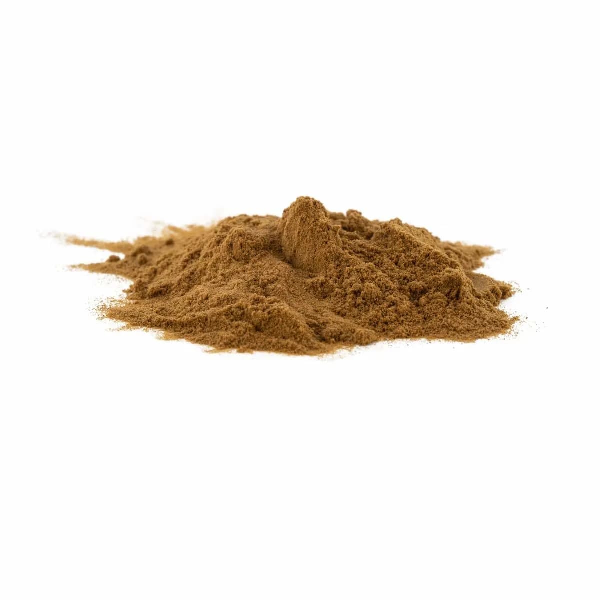 Extrait de Reishi (Ganoderma lucidum)
