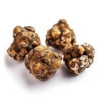 Pandora Truffes magiques | Azarius