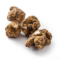 Hollandia Magic Truffles