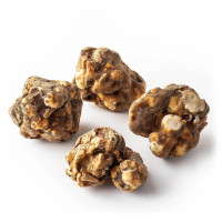 Truffes magiques Mexicana | Azarius