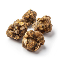 Tampanensis Magic Truffles