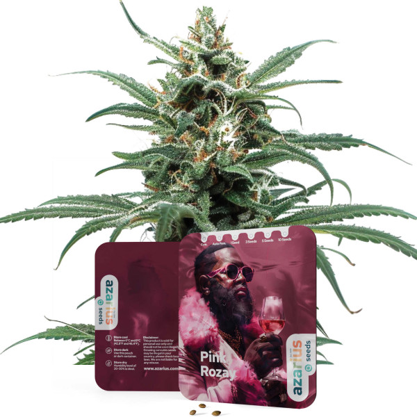 Pink Rozay | Cannabis Seeds by Azarius