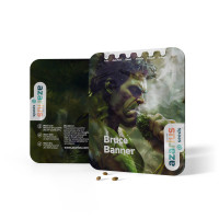 Bruce Banner Auto | Graines de cannabis par Azarius