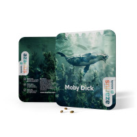 Graines de cannabis féminisées Moby Dick Auto de Azarius