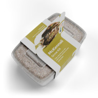 Kit de culture de champignons magiques McKennaii | Azarius