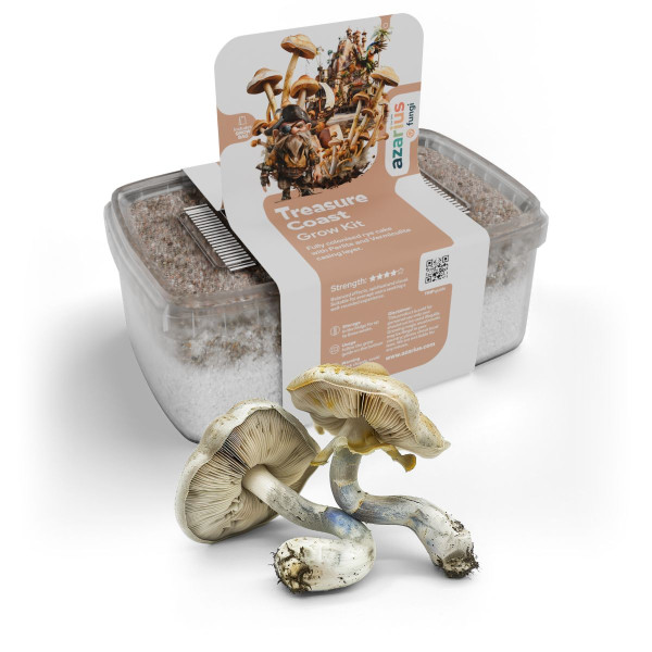 Kit de culture de champignons magiques Treasure Coast | Azarius