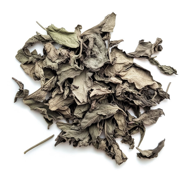 Feuilles de salvia divinorum