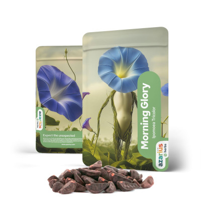 Acheter Graines Morning Glory premium sur Azarius