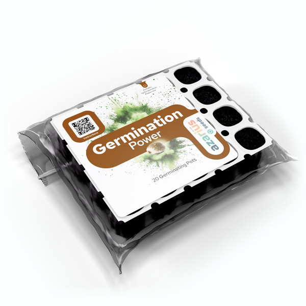 Kit Germination Power cannabis – Meilleur taux de germination