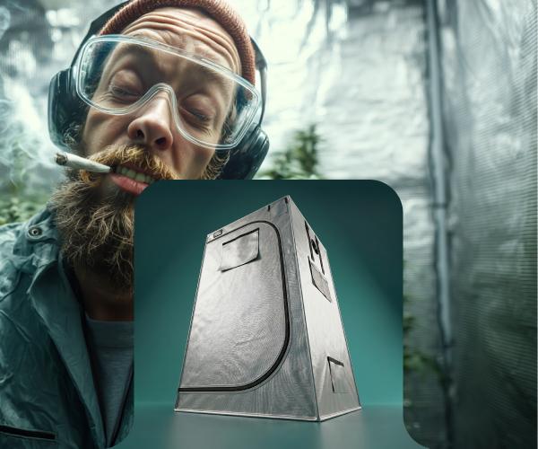 Votre culture maison idéale : kit complet ou sur mesure