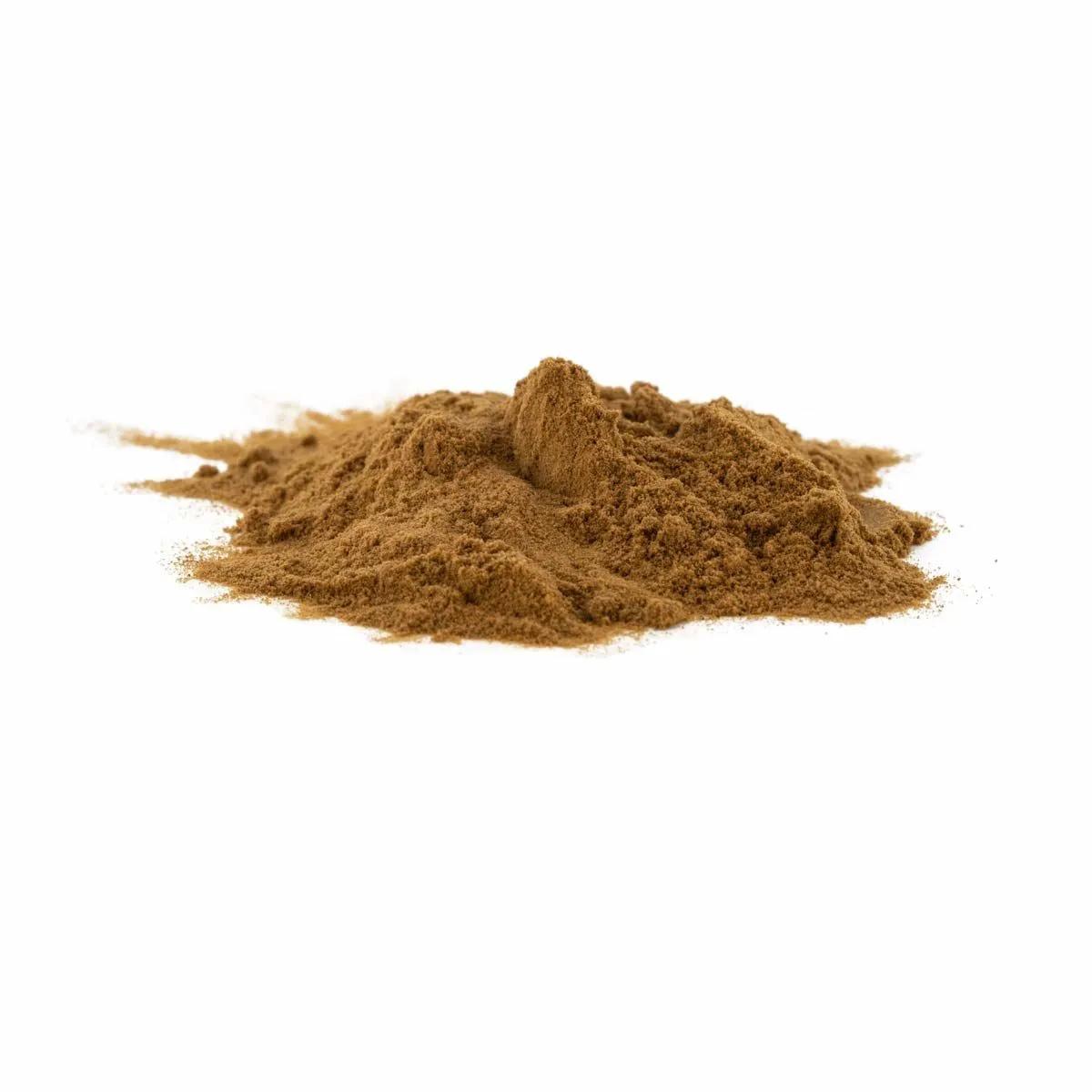 Extrait de Reishi (Ganoderma lucidum)