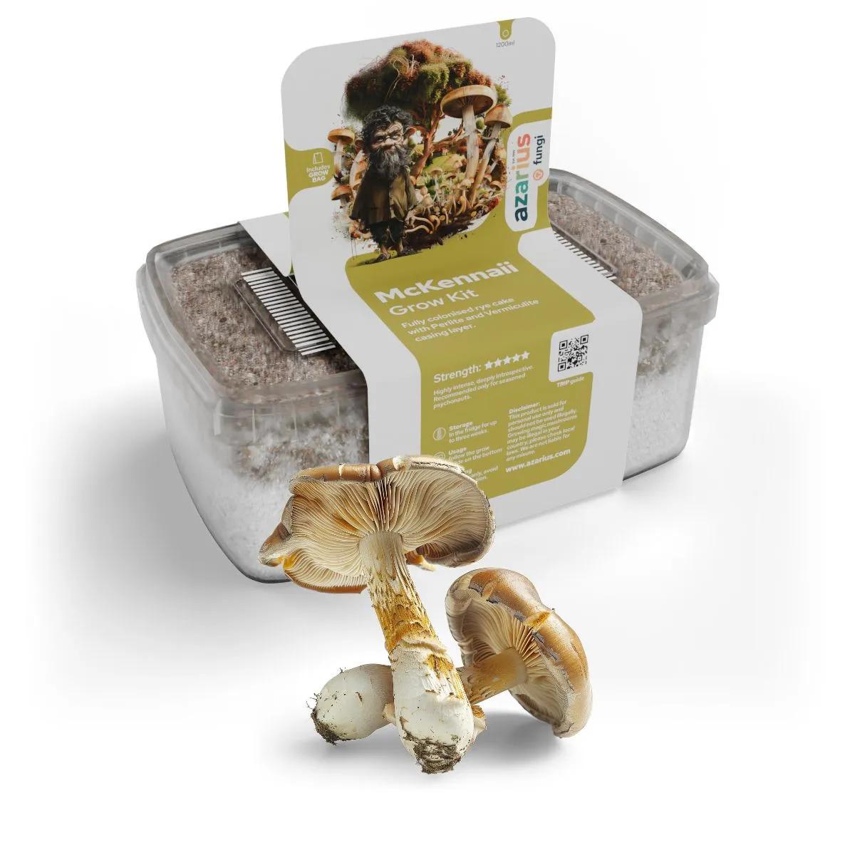 Kit de culture de champignons magiques McKennaii